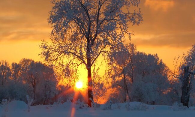 Природа. Фото: скріншот YouTube-відео