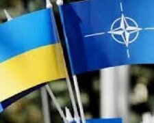 Флаги Украины и НАТО. Фото: скриншот YouTube-видео