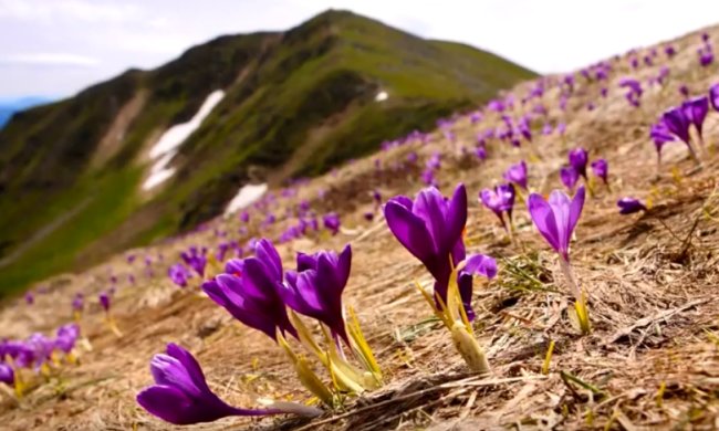 Погода на 18 февраля 2020 года