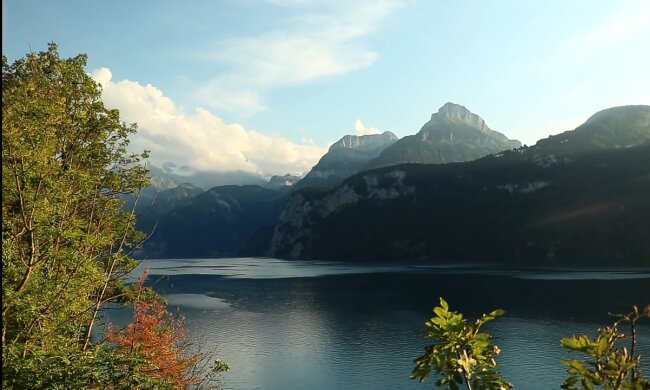 Природа. Фото: скриншот Youtube-видео.