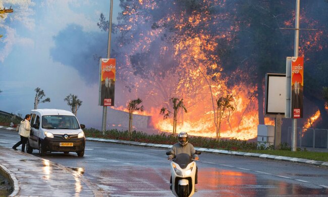Огненный ад в Израиле: из-за пожарищ даже не видно неба