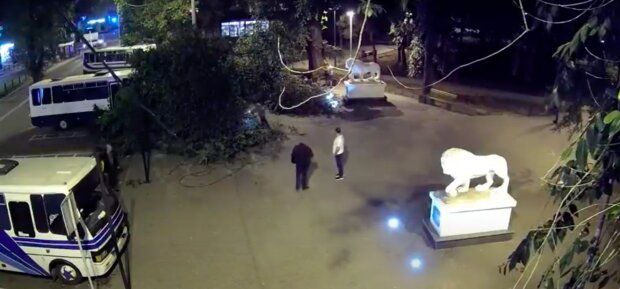 Чудом спаслись: появилось видео падения дерева на людей в Одессе