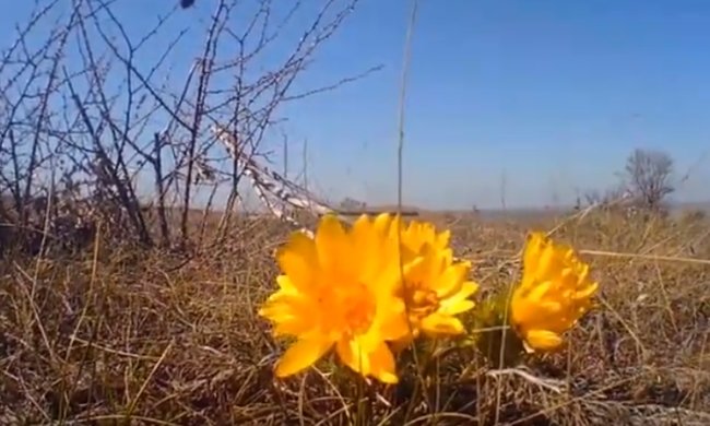 Погода на 22 февраля 2020 года