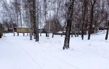 Снег, зима. Фото: скриншот Youtube-видео