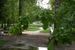 После дождя. Фото: скриншот YouTube-видео