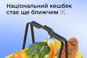 Зимняя поддержка, 1000 от Зеленского. Фото: скриншот Дія