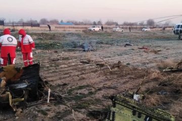 В сети появились новые кадры крушения украинского лайнера, фото - 24 телеканал