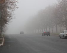 Туман на дороге, фото: Никополь Онлайн