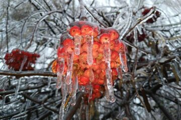 Мороз.  Фото: Стена