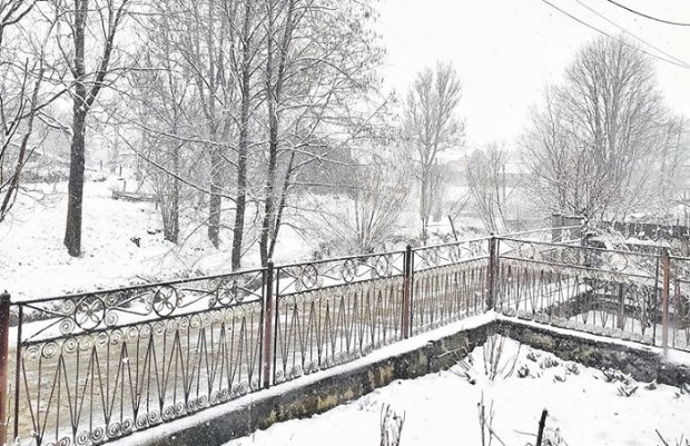 Горные районы Закарпатья засыпало снегом. Фото: Наталья Совьяк, Facebook