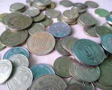 Украинские монеты. Фото: СТЕНА
