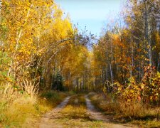 Осінь. Фото: скріншот YouTube-відео