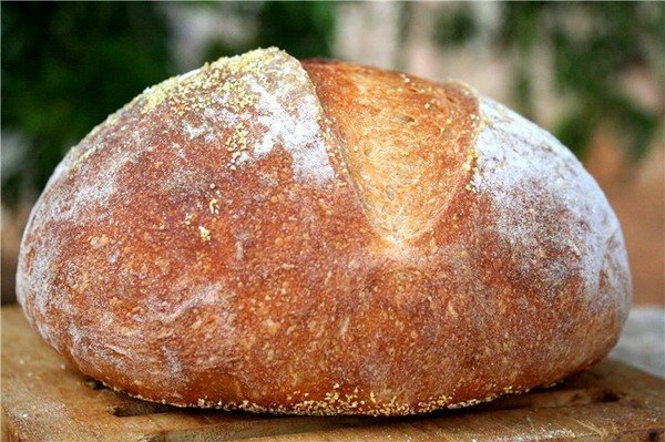 Ученые доказали: хлеб опасен для здоровья — почему