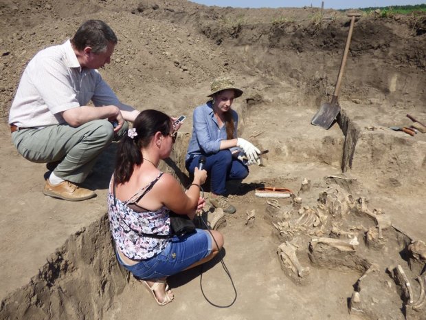 Украинские археологи нашли останки доисторического чудовища — им 9 миллионов лет