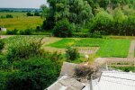 Погода, лето, синоптики.  Фото: Стена