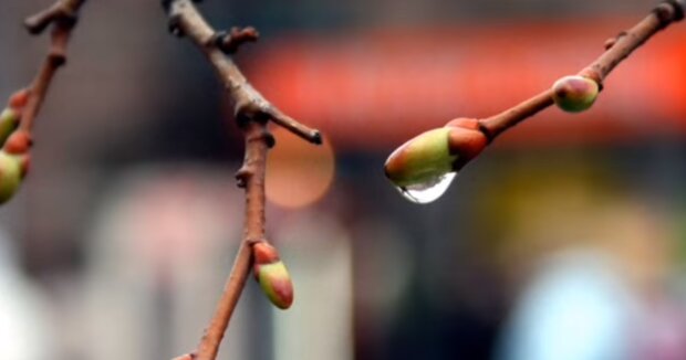 Резкое изменение погоды: синоптики сказали, где на выходных еще будет до +17, а где уже похолодание и дожди