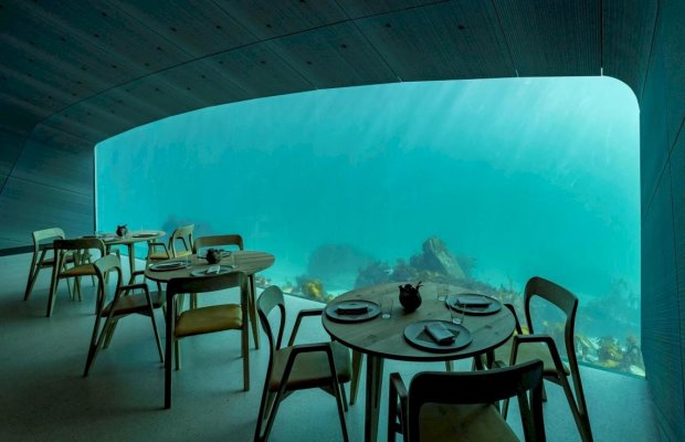 Ужин под водой стал реальностью: в Норвегии открылся уникальный ресторан