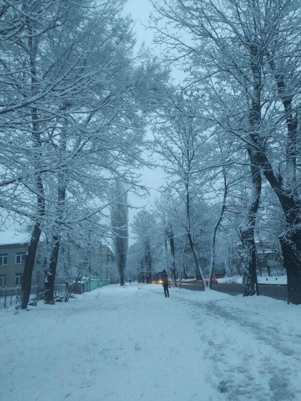 Україну засипало снігом. Фото: скрін YouTube