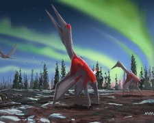 Собрали по кусочкам: палеонтологи показали миру новый вид динозавров - вот это зверюга
