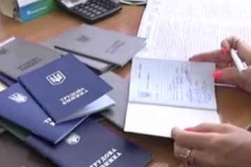 Трудовая книжка. Фото: скриншот YouTube-видео