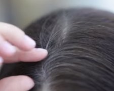 Специалисты рассказали, почему появляются седые волосы в раннем возрасте. Фото: скрин YouTube