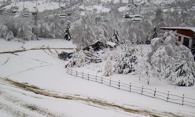 Снежная погода. Фото: скриншот YouTube-видео