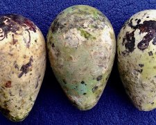 Исследователям удалось разгадать тайну скалы, которая каждые 30 лет рождает "шлифованные яйца"