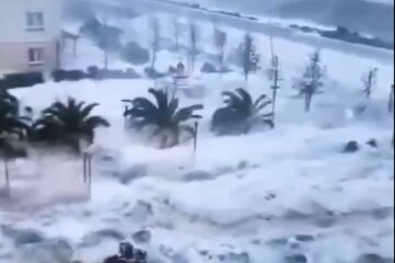 Цунами. Фото: скрин видео