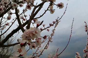 Укргидрометцентр предупредил о погоде на понедельник, 21 апреля. Фото: YouTube