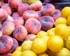 У Києві почнуть роздавати продукти Фото: КМДА