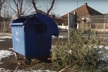 Утилизация елок. Фото: скриншот Youtube
