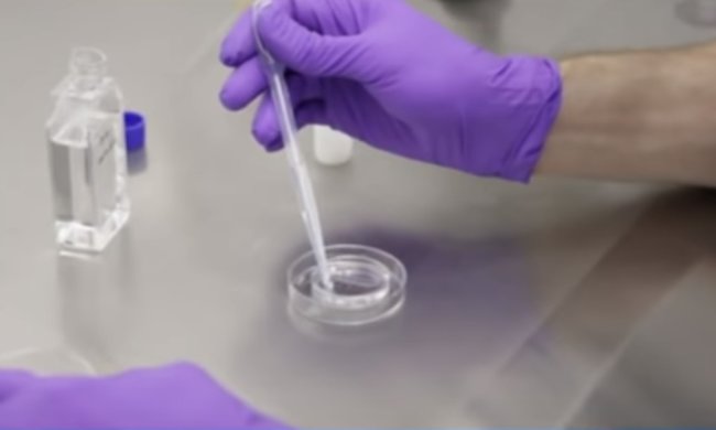 Украинцы с подтвержденным диагнозом коронавирус скрываются. Фото: скрин YouTube