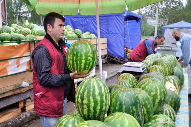 Как выбрать арбуз: появилось видео, которое поможет не ошибиться