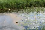 Скандал с отравленной водой: украинцев переводят на резервные источники
