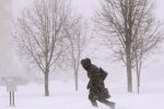 Сильный ветер, фото: ОТВ