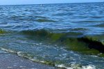 Море в цвету: специалист рассказал о страшных последствиях купания в море возле Одессы