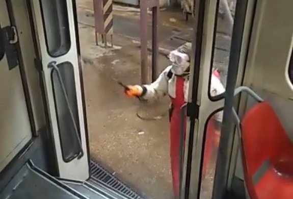 Дезинфекция транспорта, Киев. Фото: пресс-служба "Киевпастранс"