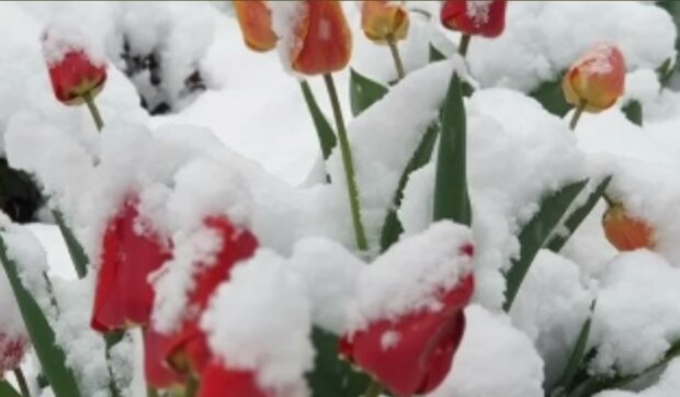 Мокрий сніг. Фото: скриншот Youtube-відео