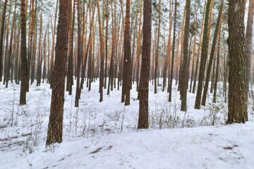 Прогноз погоды. Фото: скриншот Youtube-видео