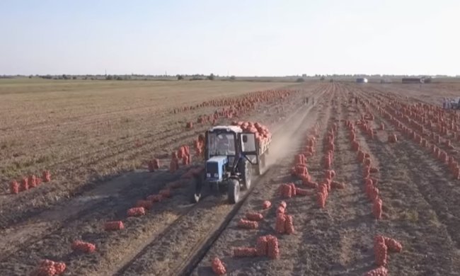 Разумков отказывается рассматривать закон о рынке земли. Фото: скрин YouTube