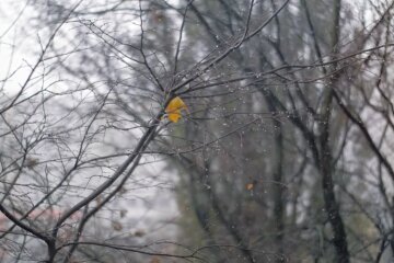 Дощова погода. Фото: скріншот YouTube-відео