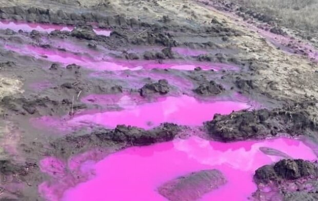 Розлив рожевої речовини під Рівне: Держекоінспекція виїхала на місце забруднення