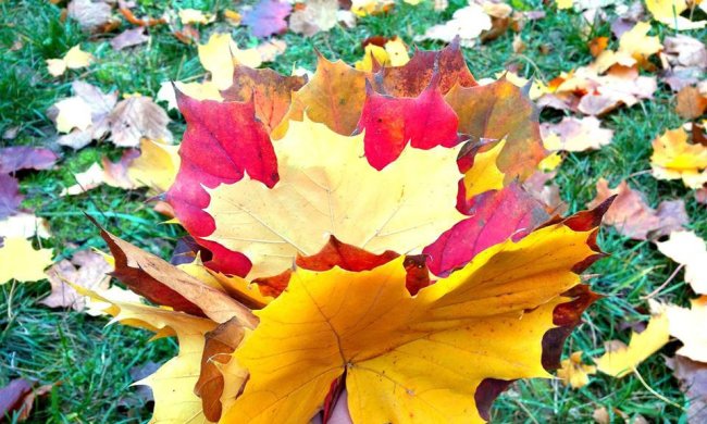 Погода на 26 октября 2019 года