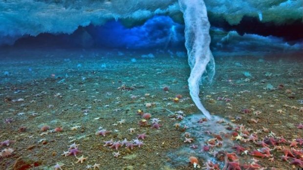 У берегов Антарктиды ученые нашли необъяснимое явление