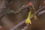 Погода бьет рекорды, фото: скриншот YouTube