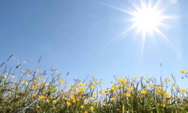 Лето в Украине. Фото: скриншот Youtube-видео