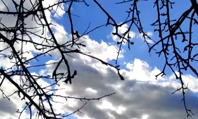 Природа. Фото: скриншот YouTube-видео