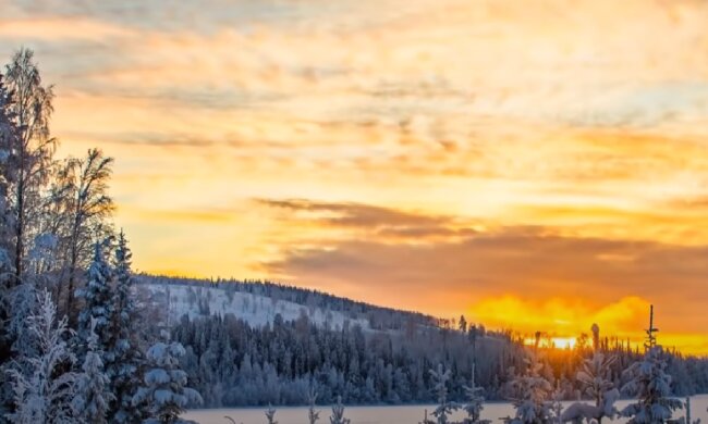 Природа. Фото: скріншот YouTube-відео