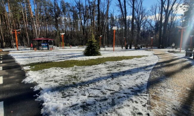 Зима. Фото: портал "Стена"