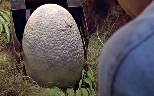 Яйцо динозавра. Фото: скриншот Youtube-видео